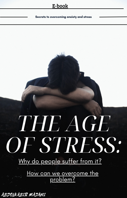 The Age of Stress - Byte-Size Books
